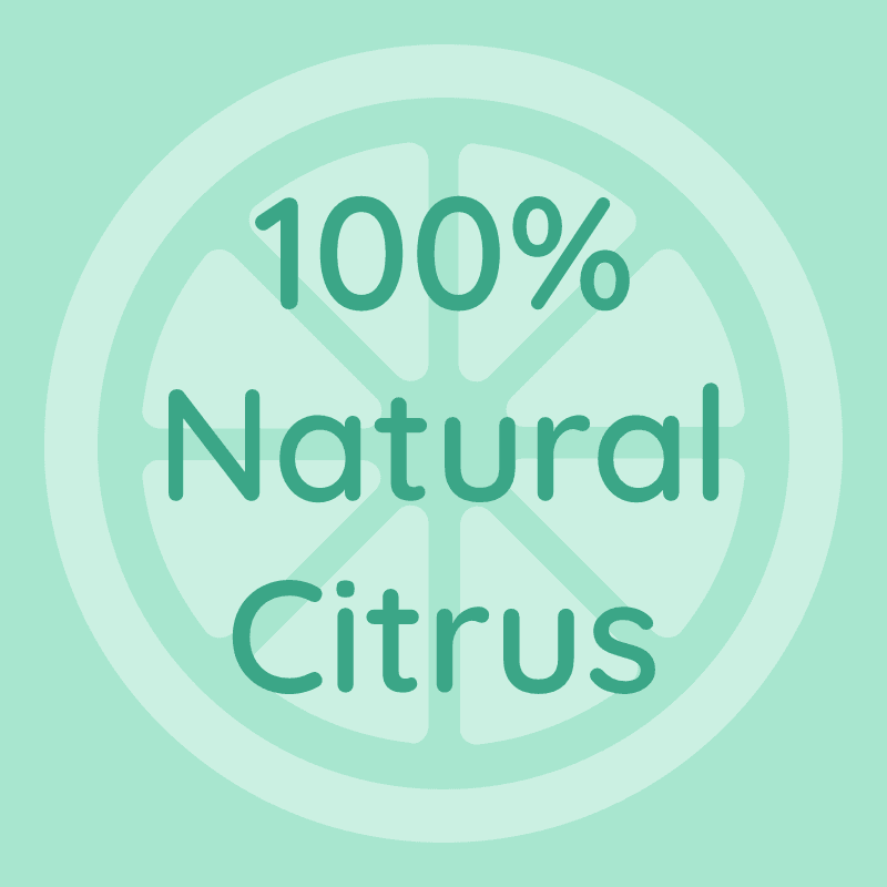 Small Business label template